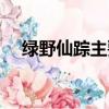 綠野仙蹤主要內容（綠野仙蹤故事簡介）