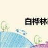 白樺林歌詞（白樺林完整歌詞）