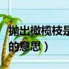 拋出橄欖枝是什么意思（怎么理解拋出橄欖枝的意思）