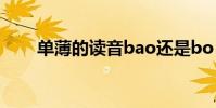單薄的讀音bao還是bo(單薄解釋)