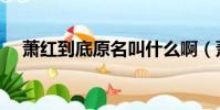 蕭紅到底原名叫什么啊(蕭紅個人簡介)