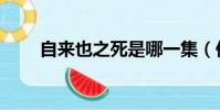 自來也之死是哪一集(你知道了嗎)