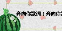 奔向你歌詞(奔向你歌曲簡介)