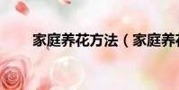 家庭養花方法(家庭養花方法介紹)