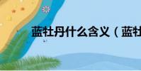藍牡丹什么含義(藍牡丹的寓意)