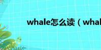whale怎么讀(whale的意思)