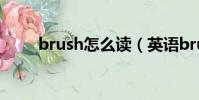 brush怎么讀(英語brush怎么讀)