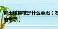 拋出橄欖枝是什么意思(怎么理解拋出橄欖枝的意思)