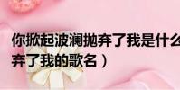 你掀起波瀾拋棄了我是什么歌(你掀起波瀾拋棄了我的歌名)