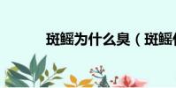 斑鰩為什么臭(斑鰩什么味道)