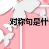 對稱句是什么意思（關于對稱句的介紹）
