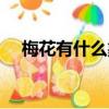 梅花有什么象征意義（梅花象征著什么）