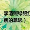 李清照綠肥紅瘦指的是什么花（李清照綠肥紅瘦的意思）