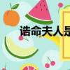 誥命夫人是什么意思（誥命夫人解釋）