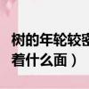 樹的年輪較密的向著（樹的年輪較密的地方向著什么面）