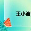 王小波簡介（王小波人物資料）