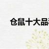 倉鼠十大品種（倉鼠十大品種簡單介紹）