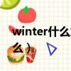 winter什么意思中文（winter中文意思是什么）