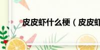 皮皮蝦什么梗(皮皮蝦什么意思)