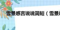 雪景感言說說簡短(雪景感悟心情短語)