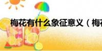 梅花有什么象征意義(梅花象征著什么)