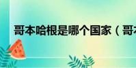 哥本哈根是哪個國家(哥本哈根的介紹)