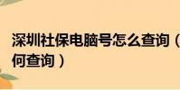 深圳社保電腦號怎么查詢(深圳社保電腦號如何查詢)