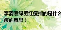 李清照綠肥紅瘦指的是什么花(李清照綠肥紅瘦的意思)