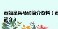秦始皇兵馬俑簡介資料(秦始皇兵馬俑相關的簡介)