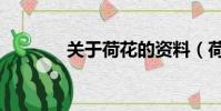關于荷花的資料(荷花簡介)