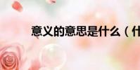 意義的意思是什么(什么是意義)