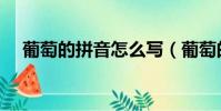 葡萄的拼音怎么寫(葡萄的讀音是什么)