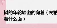 樹的年輪較密的向著(樹的年輪較密的地方向著什么面)