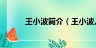 王小波簡介(王小波人物資料)