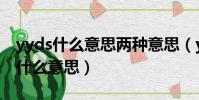 yyds什么意思兩種意思(yyds的兩種意思是什么意思)