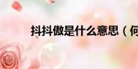 抖抖傲是什么意思(何謂抖抖傲)