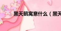 黑天鵝寓意什么(黑天鵝的寓意)