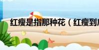 紅瘦是指那種花(紅瘦到底是什么花呢)