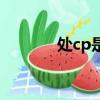 處cp是啥意思（處cp的解釋）