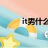 it男什么意思（IT又是什么意思）