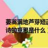 蔞蒿滿地蘆芽短正是河豚欲上時的意思（正是河豚欲上時古詩的意思是什么）