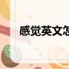 感覺英文怎么寫（感覺用英文怎么說）