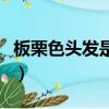 板栗色頭發是怎么調色的（板栗色頭發調方法）