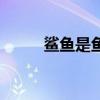 鯊魚是魚嗎（大家可以了解一下）
