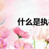 什么是執行力（個人執行力是什么）