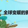 全球變暖的影響（全球變暖的影響及原因）