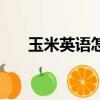玉米英語怎么讀（玉米的英語是什么）