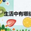 生活中有哪些是益鳥（生活中有什么益鳥）
