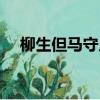 柳生但馬守人物簡介（柳生但馬守介紹）