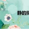 靜的拼音（靜的拼音是什么）